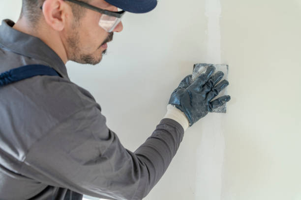 Best Basement Mold Removal  in Navesink, NJ