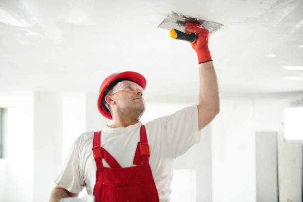 Best Environmental Consulting for Mold Prevention  in Navesink, NJ