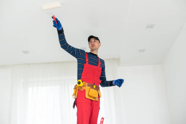 Navesink, NJ Mold Removal Company
