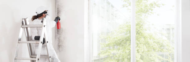 Best Commercial Mold Inspection  in Navesink, NJ