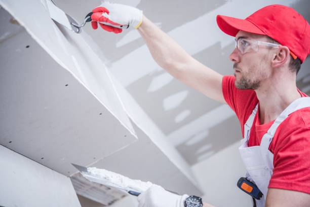 Best Mold Documentation for Insurance Claims  in Navesink, NJ